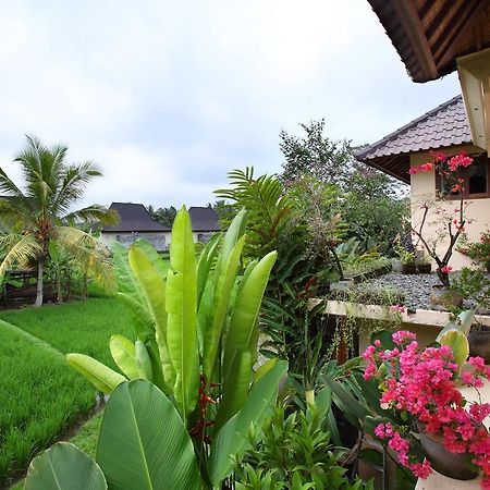 Satori Villas Bali Ubud Exterior foto